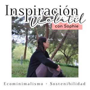 Inspiración Volátil Blog