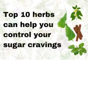 Diabetes: These 10 Herbs Can Help Reduce Sugar Cravings