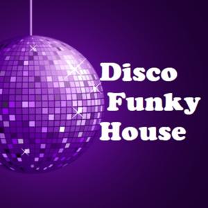 Disco Funky House
by lieb-art