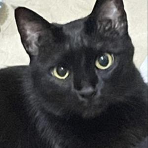 秘密陪妳聊聊天