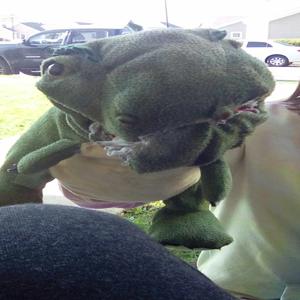 A totally normal day