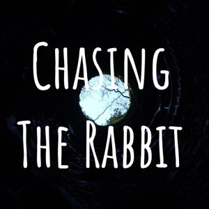 Chasing The Rabbit