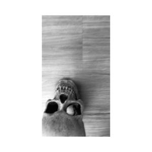 𝚋𝚊𝚛𝚛𝚎.