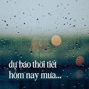 dự báo thời tiết hôm nay mưa…