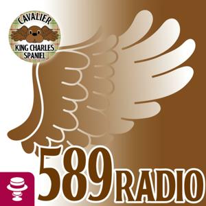 589Radio