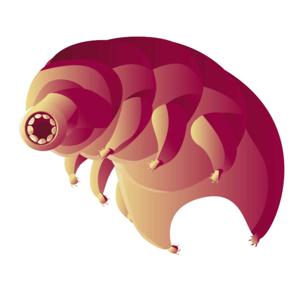 The Tardigrade Project