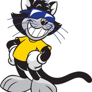 Cat Country On Demand