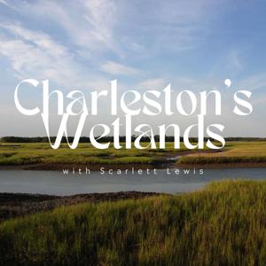 Charleston's Wetlands
