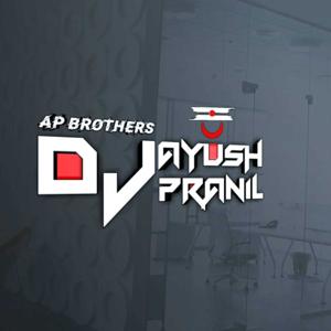 DJ AYUSH X DJ PRANIL ( AP BROTHERS )