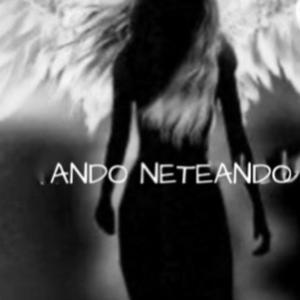 ANDO NETEANDO