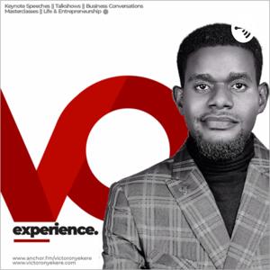 VO-Experience