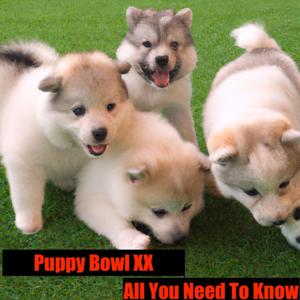 Puppy Bowl XX- All You Need Top Know