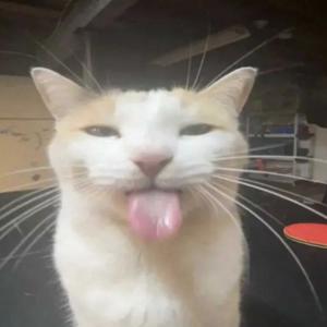 PP_GloriaGracie&CristianKezmanLee_15230053&15230054_UniversitasBundaMulia_NewsReading