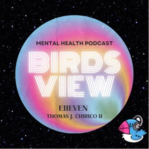 Birds View 11