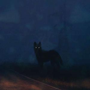 frequency (feat. Mulv Jones)