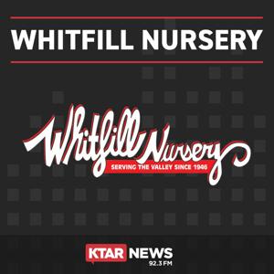 Whitfill Nursery