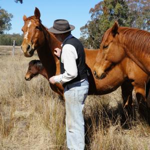 Good Horsemanship - Ross Jacobs