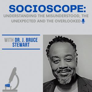 The Socioscope: Understanding the Misunderstood, the Unexpected, and the Overlooked