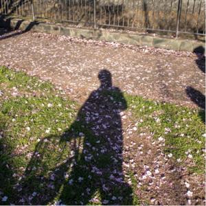 泥酔レイディオ