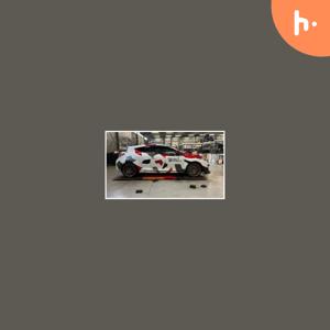 Wheelpoint: Wat zijn centreerringen voor velgen?