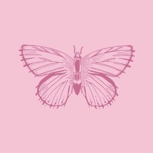 The Butterfly Effect with Isabel Chiarra and Olivia Laine