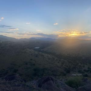 Taylor's Top of Texas