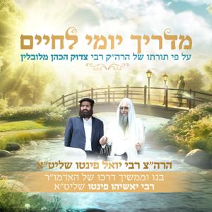 הרה"צ רבי יואל משה פינטו שליט"א