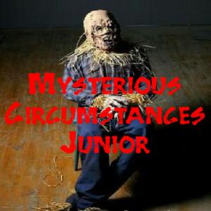 Mysterious Circumstances Junior