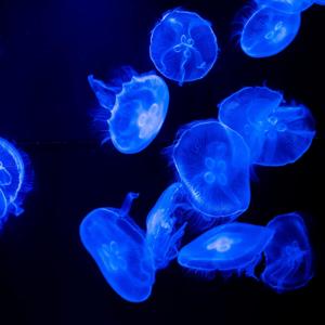 気ままにおしゃべり