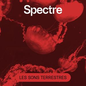 Les sons terrestres