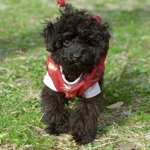 ポッドキャスト配信テスト