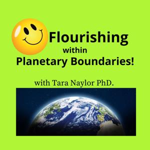 Flourishing within Planetary Boundaries