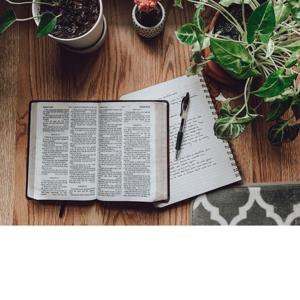 The Secret Bible Study