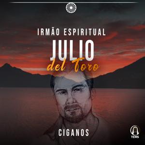 Julio Del Toro