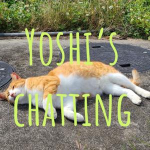 Yoshi, the chatty guy　おしゃべりヨシ