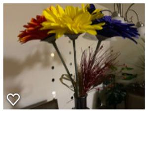 Maryse's OUTLOOK Podcast