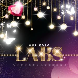 Gal Data Labs