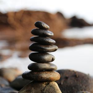 Meditator Notes