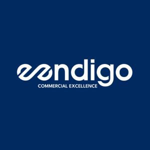 Eendigo Commercial Excellence