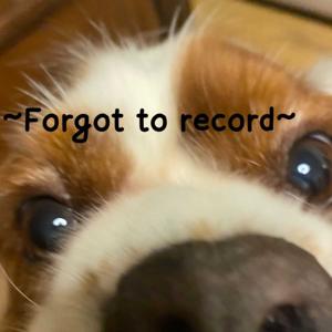 Forgot to Record