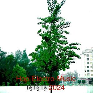Hop Electro Music 2024