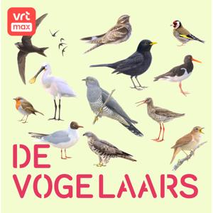 De Vogelaars