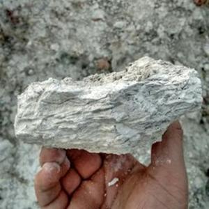 bustillo 3Speak Podcast