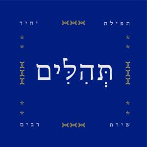 תהלים - תפילת יחיד, שירת רבים