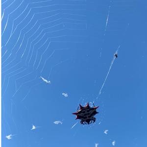 Slide Of Life Podcast