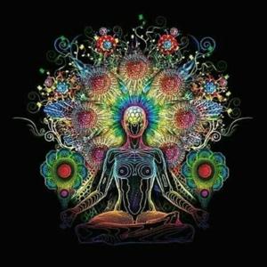 The Stillness - Tamil