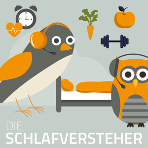 schlafversteher.de