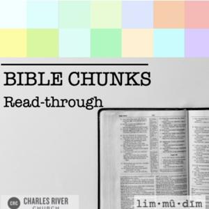 Bible Chunks Readthrough