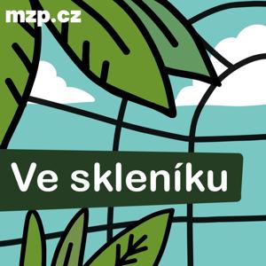 Ve skleníku