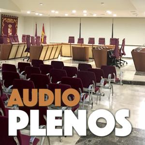 PLENOS DEL AYUNTAMIENTO DE ILLESCAS
